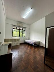 Bartley Road (D19), Terrace #415971681